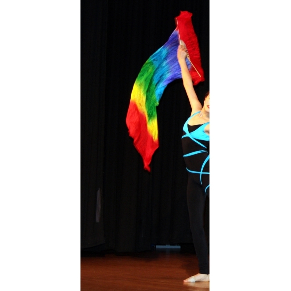 Rainbow Fan Ribbon Prop - Picture 3 of 3